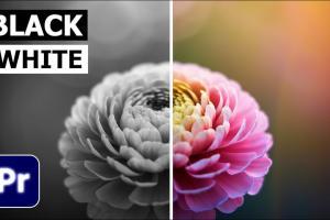 Transforming Your Videos: A Comprehensive Guide on Making Video Black and White in Adobe Premiere