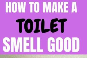Transform Your Toilet: How to Make It Smell Amazing