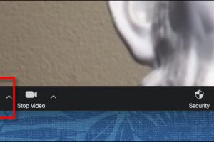 Mastering Zoom: A Comprehensive Guide on How to Mute Yourself During a Call
