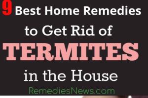 Ultimate Guide to Permanently Eliminate Termites from Your Home