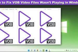 Mastering VOB Files: A Complete Guide on How to Play Them Easily