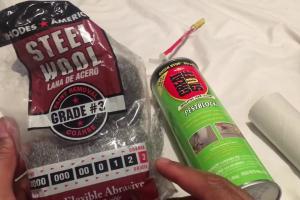 Effective Methods to Seal Mouse Holes in Your Home: Inside & Outside