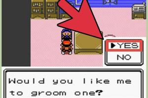 Mastering Friendship Levels in Pokémon Games: A Comprehensive Guide
