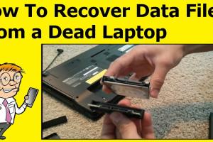 Ultimate Guide to Recovering Data from a Dead Laptop's Hard Drive