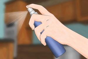 Effective Strategies for Removing Dead Animal Odor: A Comprehensive Guide