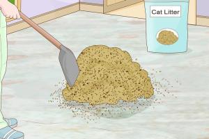 Mastering the Art of Mastic Removal: A Comprehensive Guide