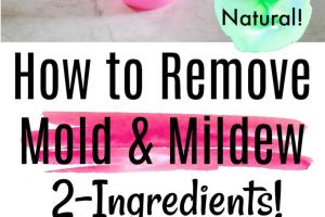 Ultimate Guide to Removing Mold and Mildew: Effective Methods and Prevention Tips
