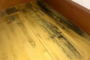 Ultimate Guide: How to Effectively Remove Mold Stains from Wood Floors