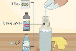Ultimate Guide to Permanently Removing Urine Odors and Stains