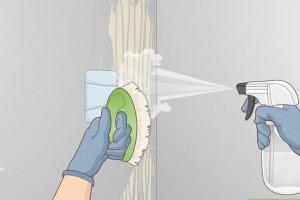 Ultimate Guide on How to Remove Wallpaper Paste Effectively