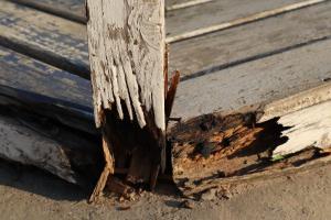 Ultimate Guide on How to Repair Rotted Wood: Step-by-Step Strategies