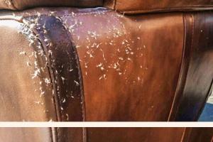 Ultimate Guide: How to Repair Scratches on Leather Furniture