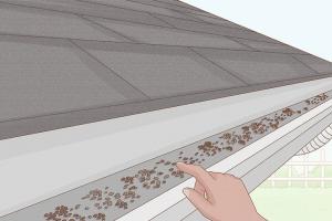 Ultimate Guide to Reroofing Your House: Step-by-Step Insights