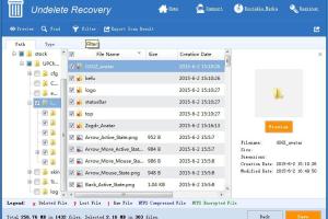 Ultimate Guide: Restoring Deleted Files on an SD Card