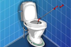 Ultimate Guide: How to Retrieve an Item Flushed Down a Toilet