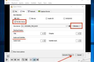 Ultimate Guide: How to Rip DVDs with VLC Media Player on PC & Mac