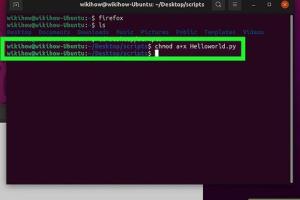 Mastering the Command Line: A Comprehensive Guide to Running Programs on Linux