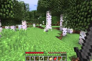 Mastering Minecraft: A Comprehensive Guide to Safely Kill Creepers