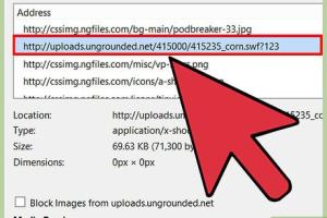 Ultimate Guide: How to Save a Flash Animation from Any Website