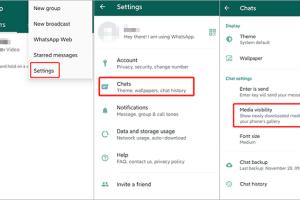Effortless Guide on Saving WhatsApp Photos to Your Android Gallery
