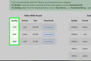 Ultimate Guide to Saving Streaming Video: Tips and Tools
