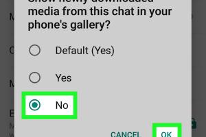 Ultimate Guide: How to Save Videos on WhatsApp on Android