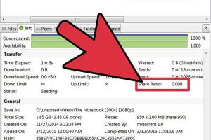 Mastering File Seeding: A Comprehensive Guide for Beginners