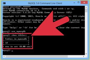 Mastering Command Line: How to Send SQL Queries to MySQL