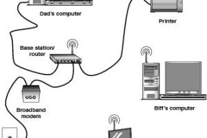 Step-by-Step Guide to Setting Up a Computer Network: A Beginner's Handbook