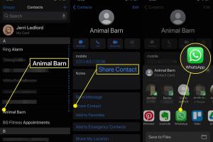 Ultimate Guide: How to Share a WhatsApp Contact Easily