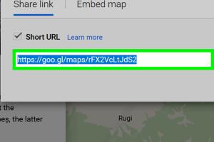 Mastering Google Maps: A Comprehensive Guide to Shortening URLs for Better Sharing