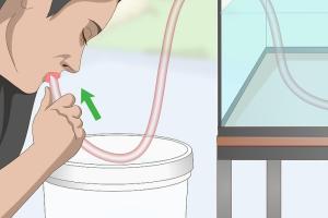 Mastering the Art of Siphoning Water: A Comprehensive Guide