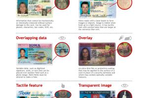 10 Essential Tips on How to Spot a Fake I.D. Like a Pro