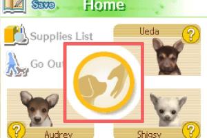 Mastering Nintendogs: A Complete Guide to Teaching Your Virtual Pet Tricks