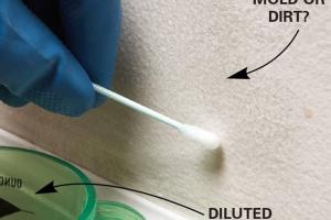 How to Test for Mold: A Comprehensive Guide for Homeowners