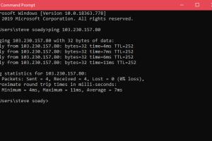 Ultimate Guide to Testing Network and Internet Latency in Microsoft Windows
