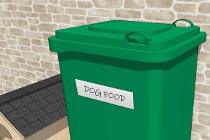 Ultimate Guide on How to Properly Dispose of Your Old Trash Can