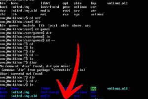 Mastering File Transfers: Ultimate Guide to Moving Files Between Linux Servers