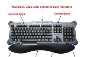 Mastering the Computer Keyboard: A Comprehensive Guide for Beginners and Beyond