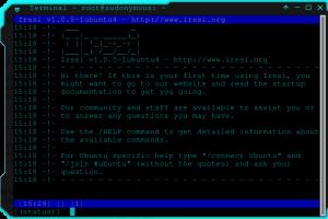 Mastering IRC: A Comprehensive Guide to Internet Relay Chat for Beginners