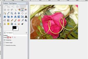 Mastering Scissors in GIMP: A Comprehensive Guide to Precision Editing