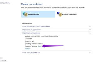 Mastering Credential Manager: A Comprehensive Guide to Viewing Your Passwords on Windows