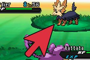 How to Dominate Pokémon Battles Using a Level 1 Rattata