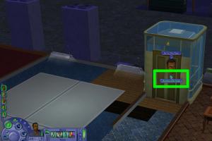 Mastering WooHoo in The Sims 2: A Comprehensive Guide