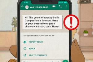 Identifying Fake WhatsApp Numbers: 4 Key Warning Signs You Should Know