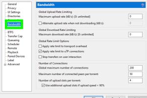 Simple Steps to Install the BitTorrent Client on PC & Mac