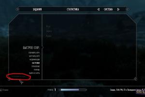 Ultimate Guide to Installing Skyrim Script Extender (SKSE)