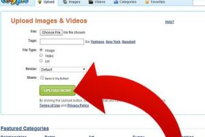 Mastering BBCode: A Complete Guide to Uploading Images Effectively