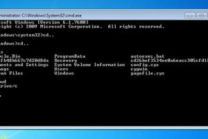 Mastering Cygwin on Windows: Installation, Terminal Commands & Advanced Usage