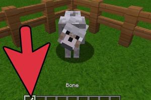 Mastering Dog Taming and Breeding in Minecraft: A Comprehensive Guide